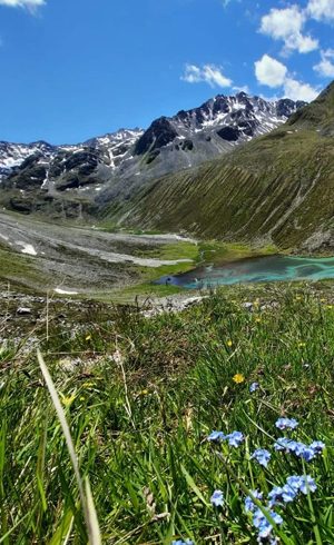 Imagebild Pfunds im Sommer