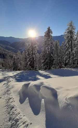 Imagebild Pfunds im Winter